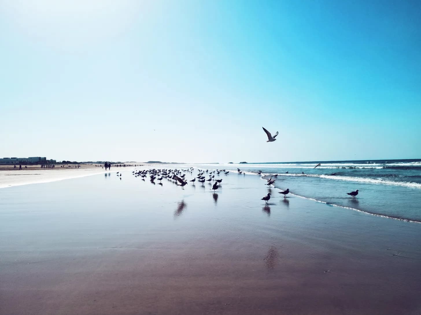 I Traveled to Another Country to Meet My Online Friends